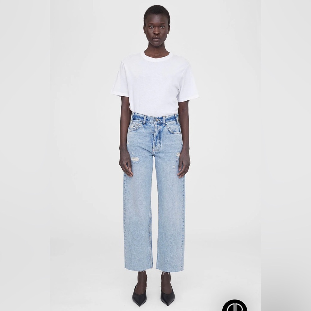 Anine Bing Gavin cropped boyfriend jean 25